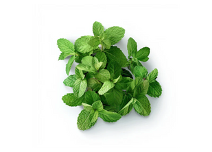 Лютива мента